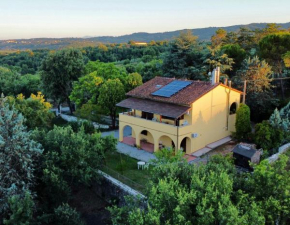 B&B Terre Toscane Ciggiano